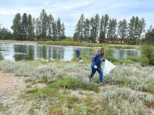 Amphenol Volunteers in the Field